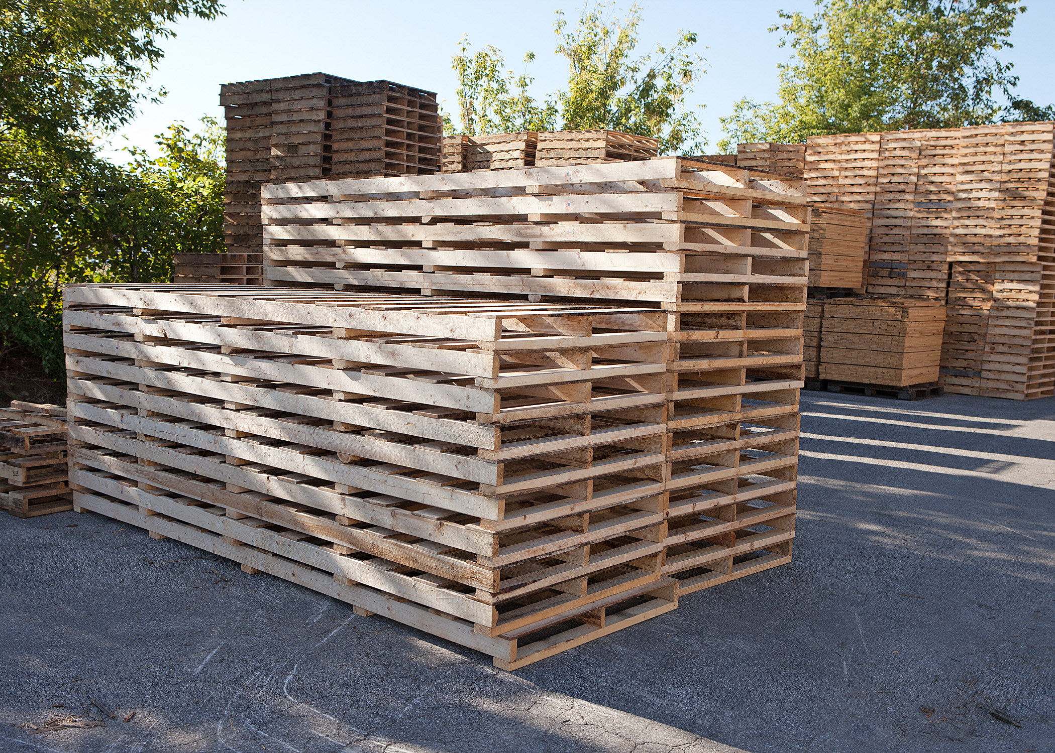 Pallet Price is Important, But There is No Substitute for ...